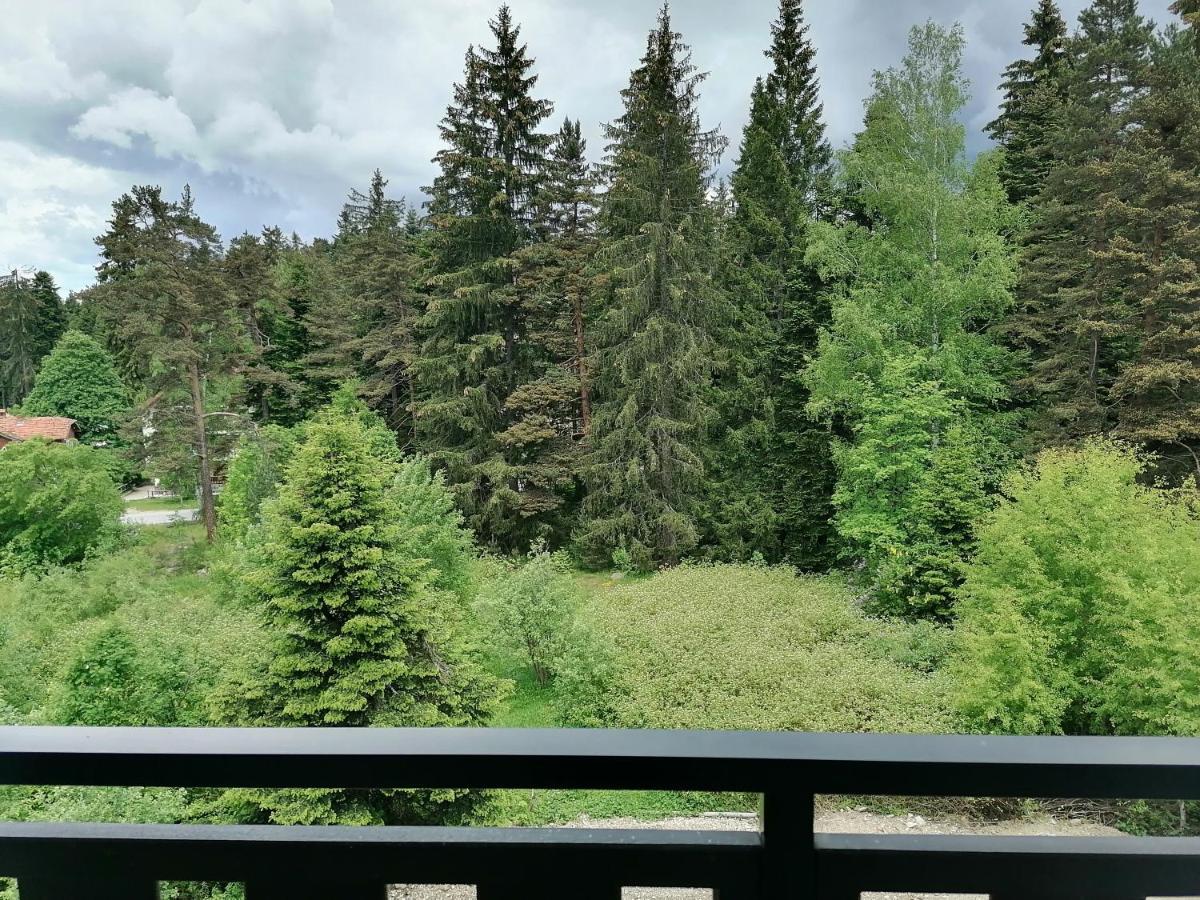 Borovets Gardens Studio D36 Dış mekan fotoğraf