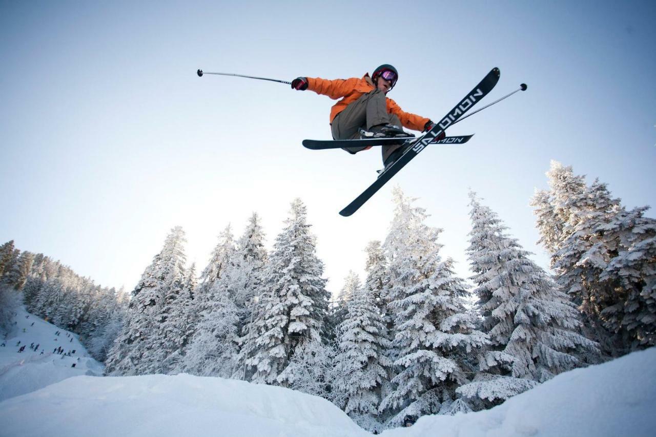 Borovets Gardens Studio D36 Daire Dış mekan fotoğraf