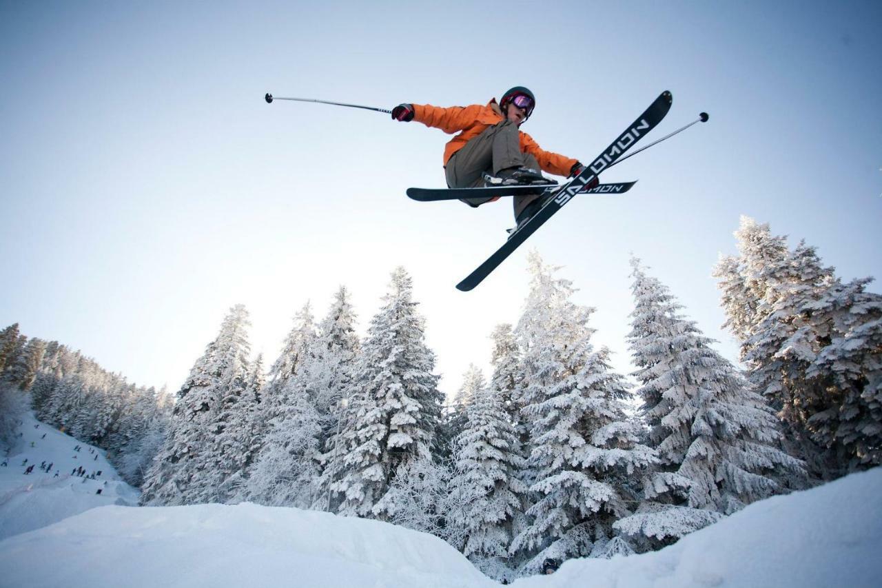 Borovets Gardens Studio D36 Dış mekan fotoğraf
