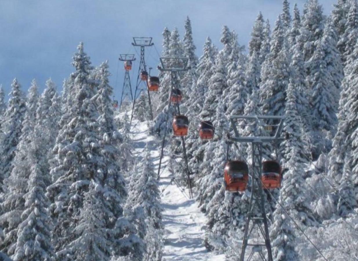 Borovets Gardens Studio D36 Dış mekan fotoğraf